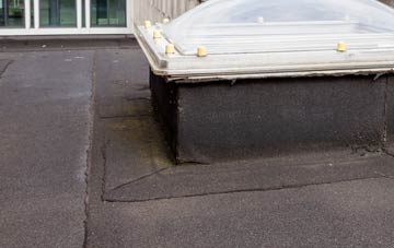 disadvantages of Ballydullaghan flat roofs