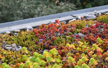 the cost of Ballydullaghan green roof installation