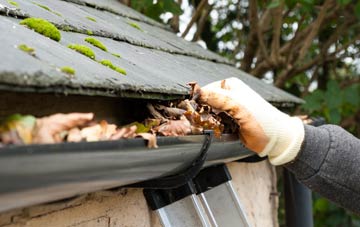 gutter cleaning Ballydullaghan, Coleraine