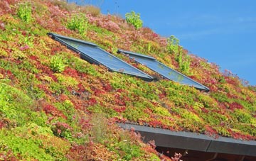 Ballydullaghan living roof systems