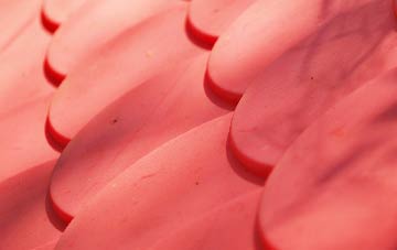 Ballydullaghan plastic roof costs