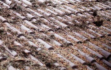 Ballydullaghan roof cleaning companies